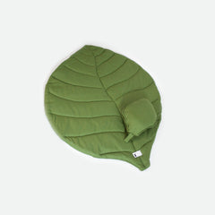 Çam Leaf